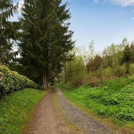 Near The Oberhof * Kurort Steinbach-Hallenberg