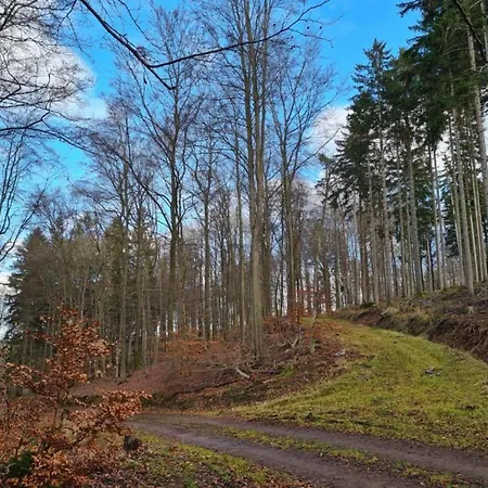 Near The Oberhof *
